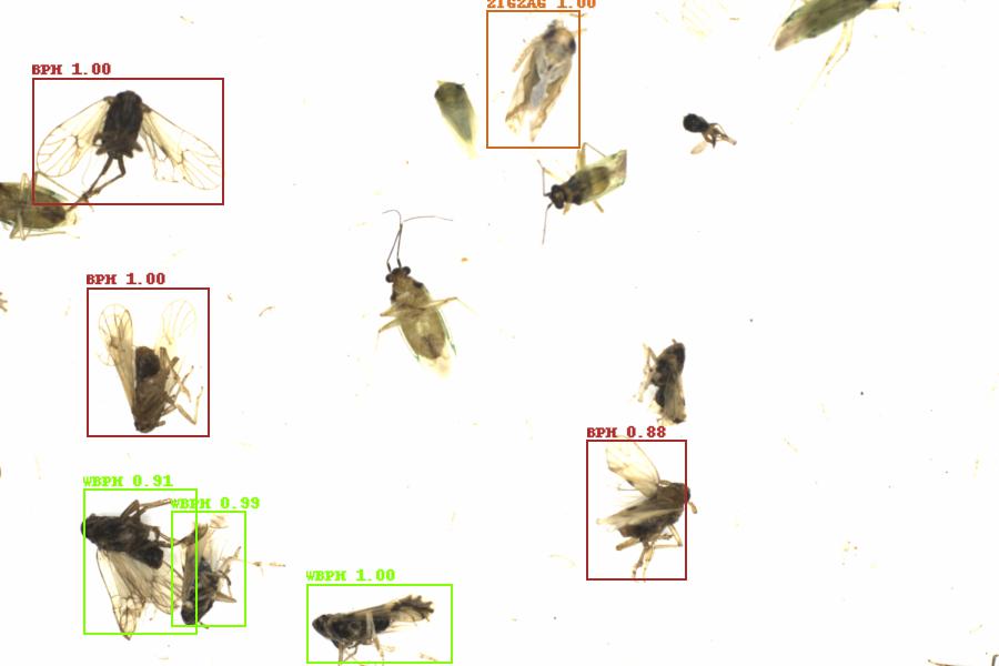 Fullscreen Image