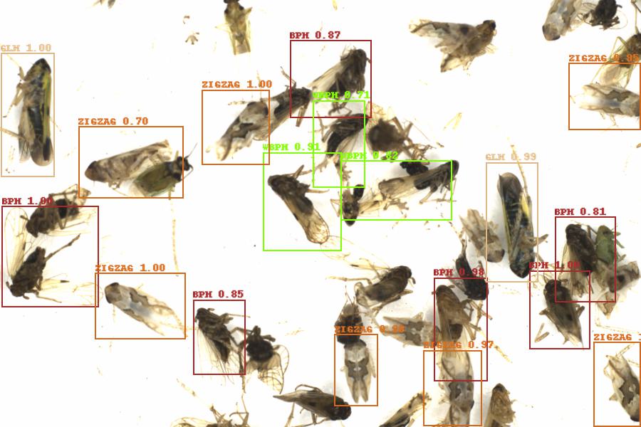 Fullscreen Image