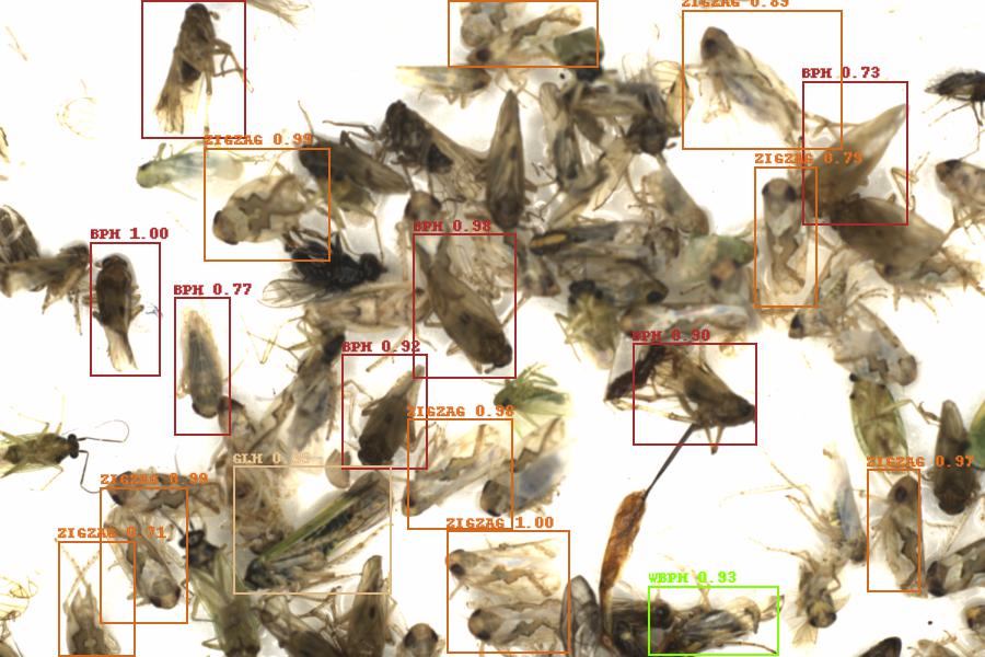 Fullscreen Image