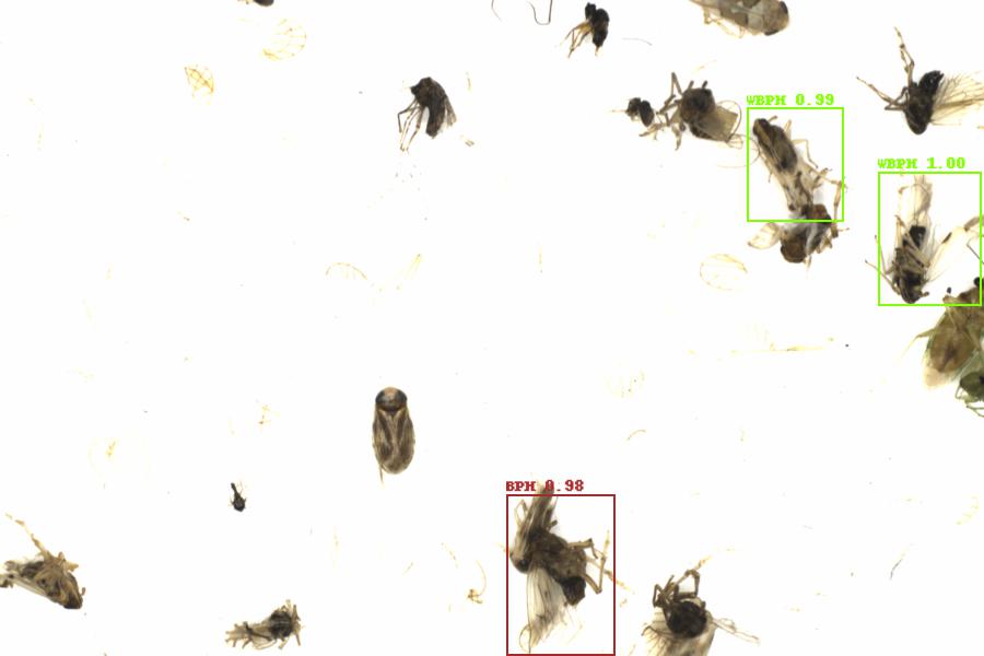 Fullscreen Image