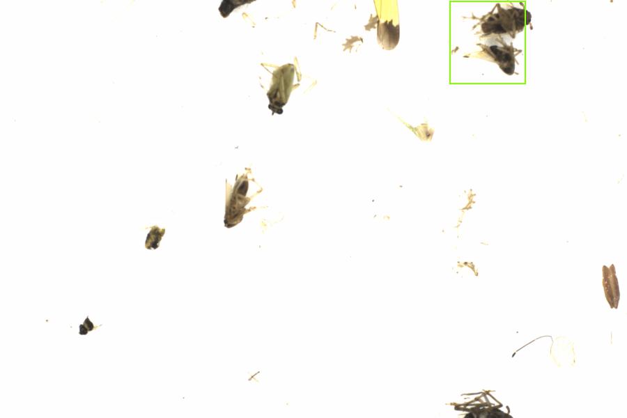 Fullscreen Image