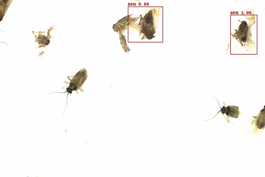 Fullscreen Image