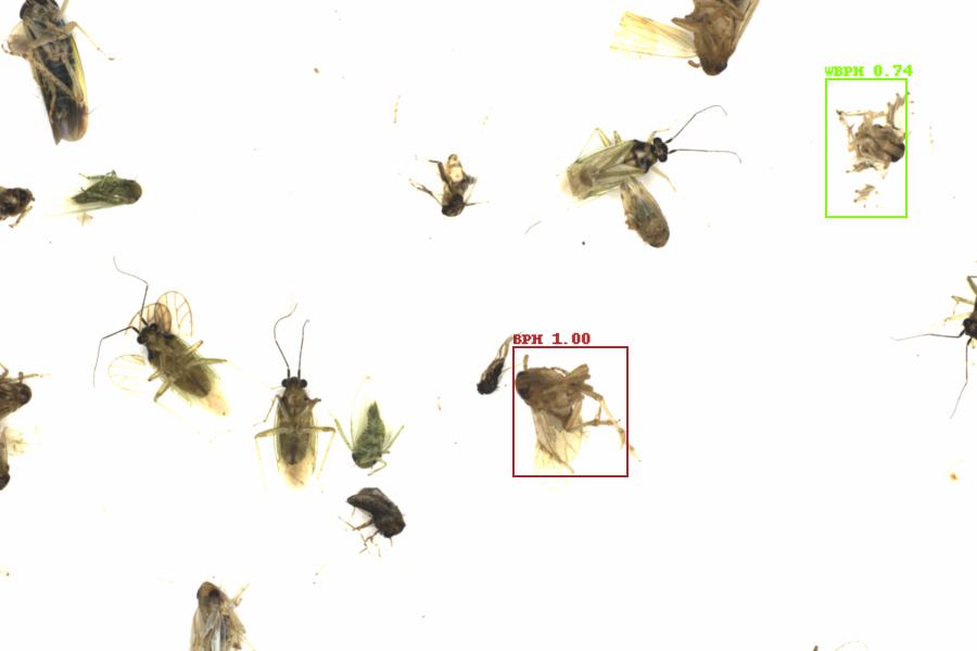 Fullscreen Image