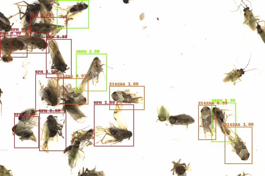 Fullscreen Image