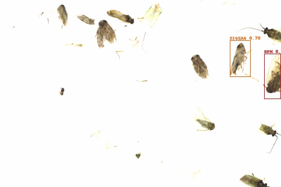 Fullscreen Image