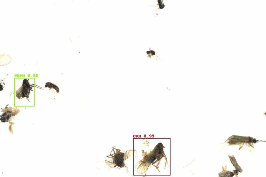 Fullscreen Image