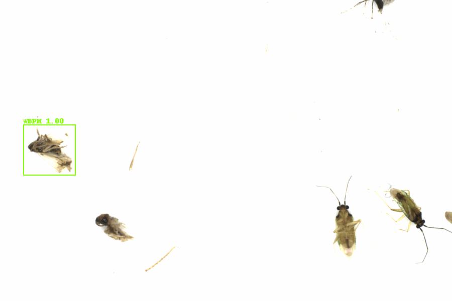 Fullscreen Image