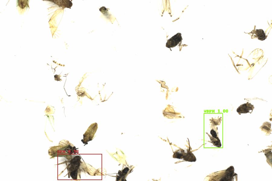 Fullscreen Image