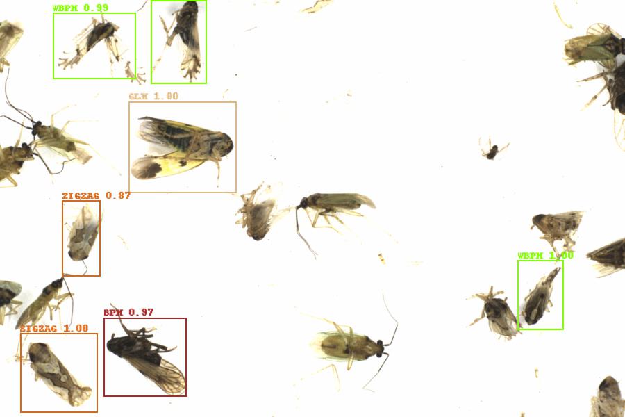 Fullscreen Image