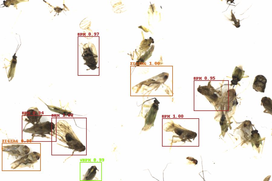 Fullscreen Image