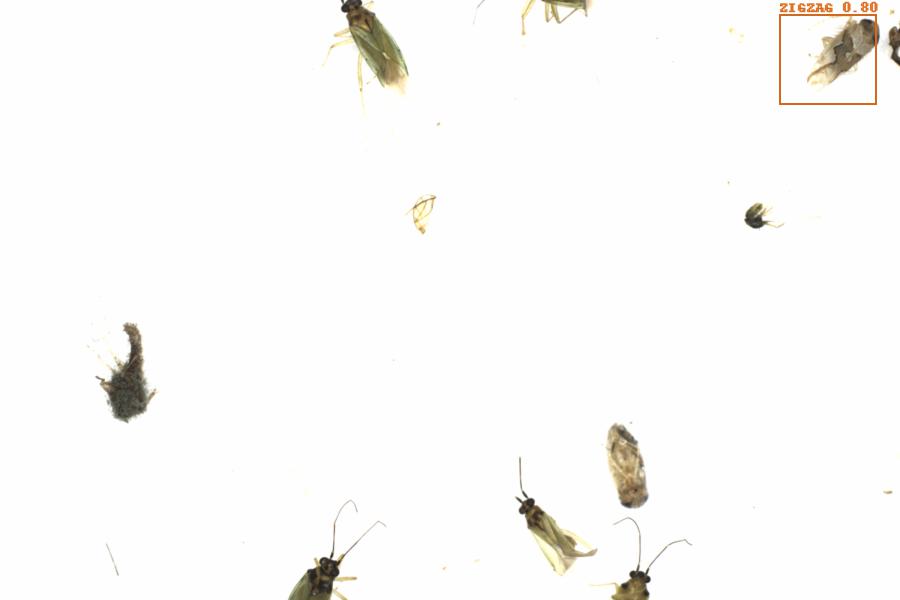 Fullscreen Image