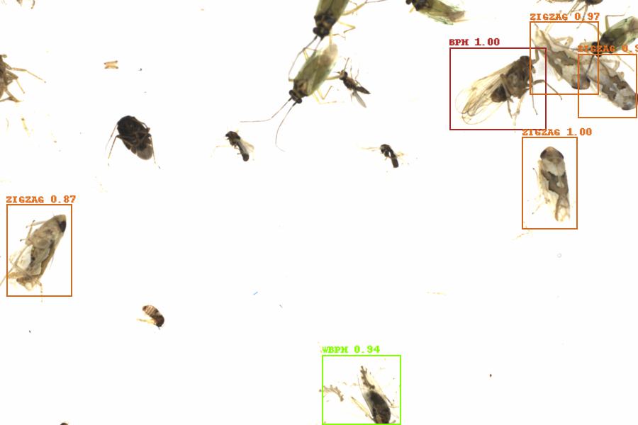 Fullscreen Image
