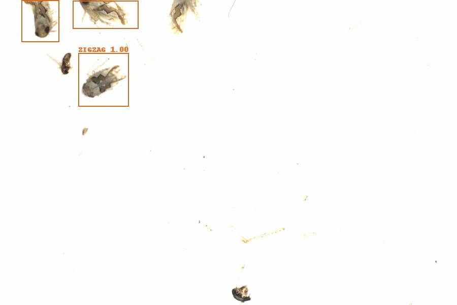 Fullscreen Image