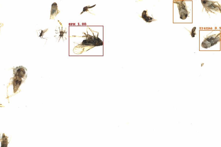 Fullscreen Image