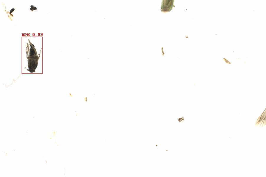 Fullscreen Image
