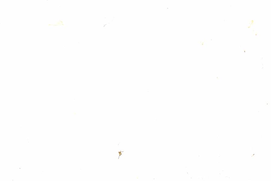 Fullscreen Image