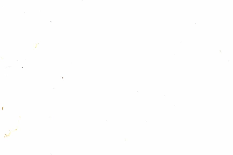 Fullscreen Image