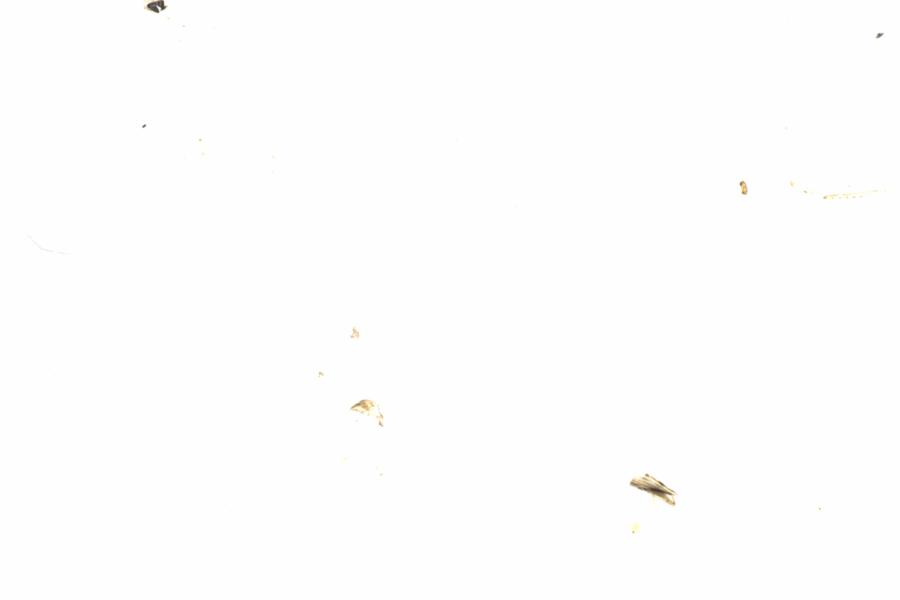 Fullscreen Image