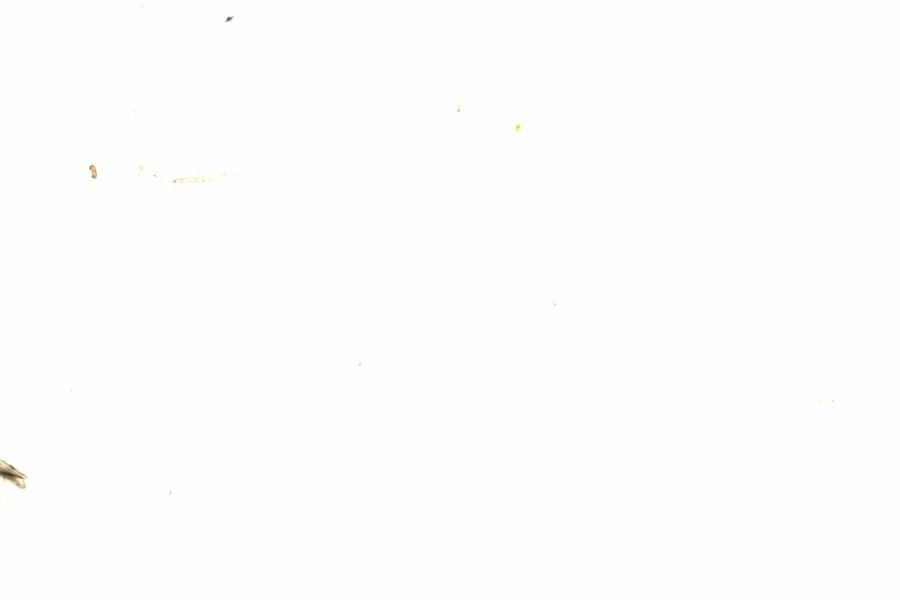 Fullscreen Image