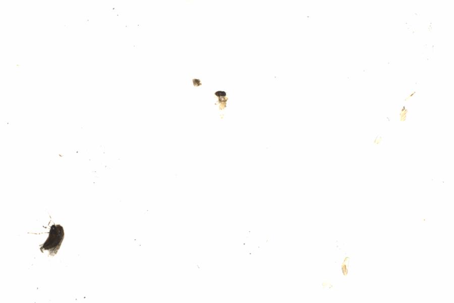 Fullscreen Image
