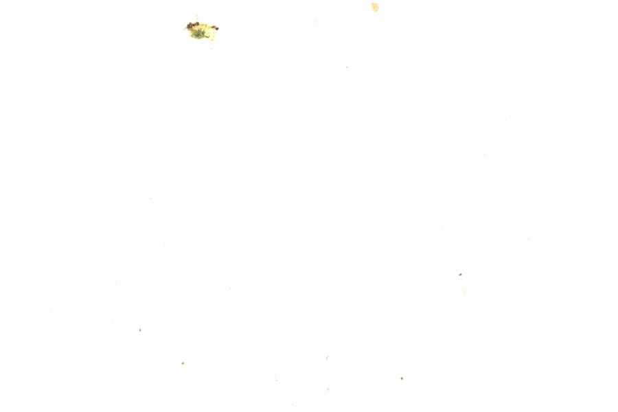 Fullscreen Image