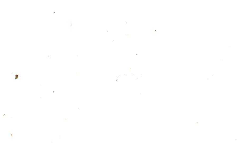 Fullscreen Image