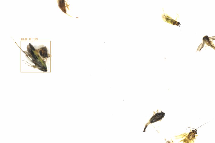 Fullscreen Image