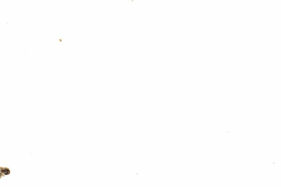 Fullscreen Image
