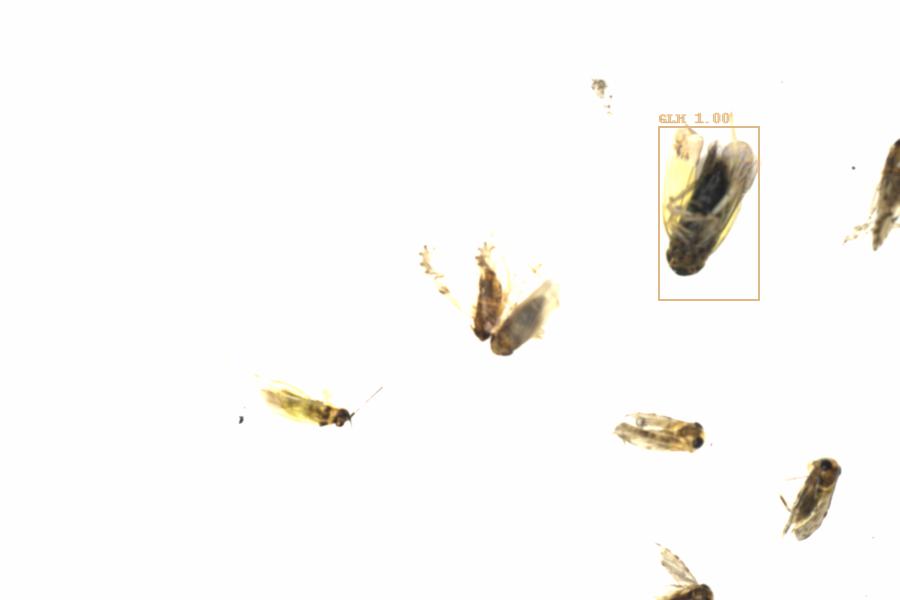 Fullscreen Image