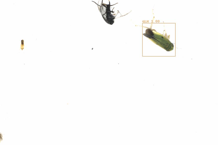 Fullscreen Image