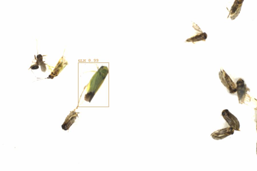 Fullscreen Image