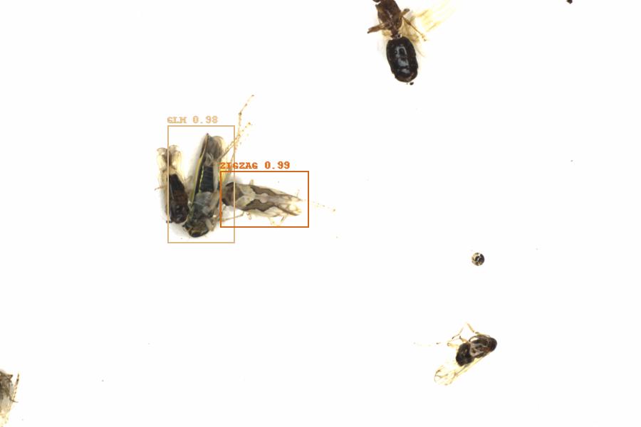 Fullscreen Image