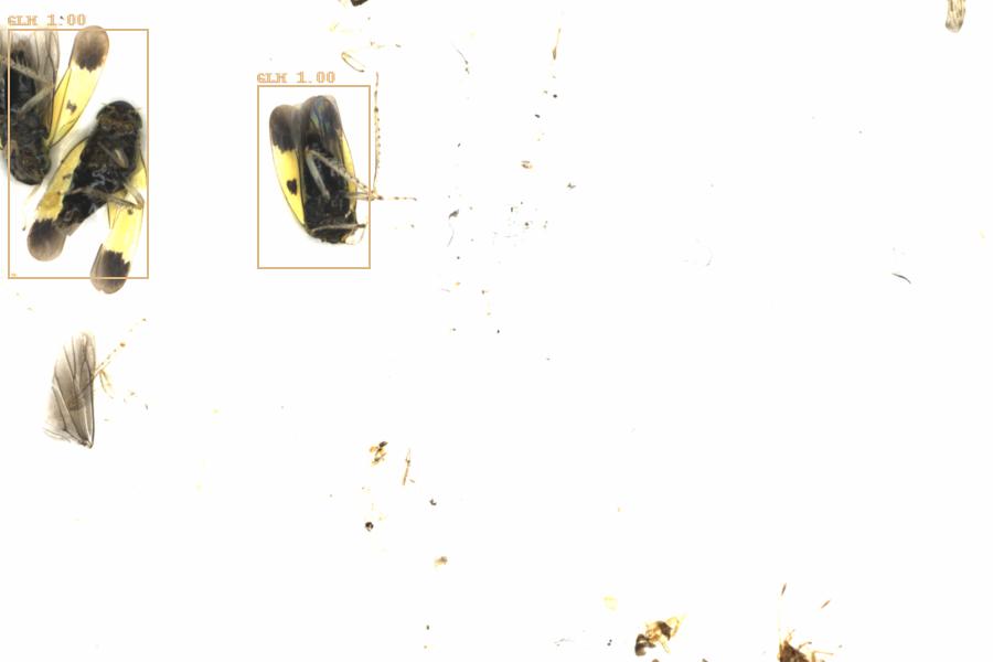 Fullscreen Image
