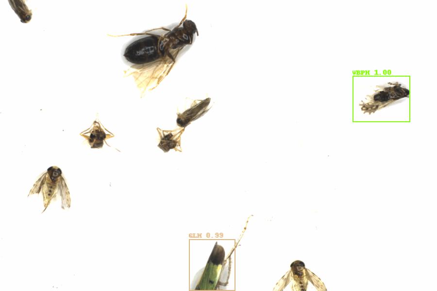 Fullscreen Image