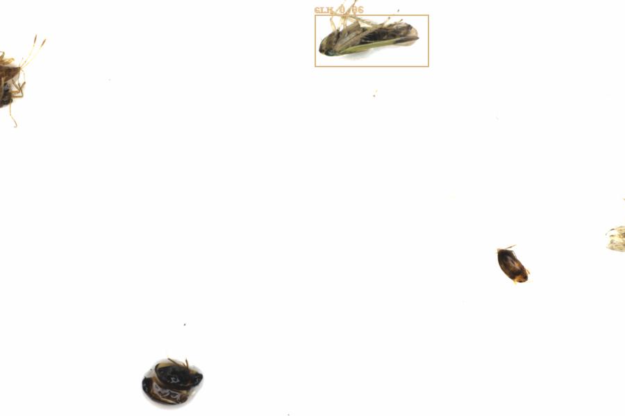 Fullscreen Image