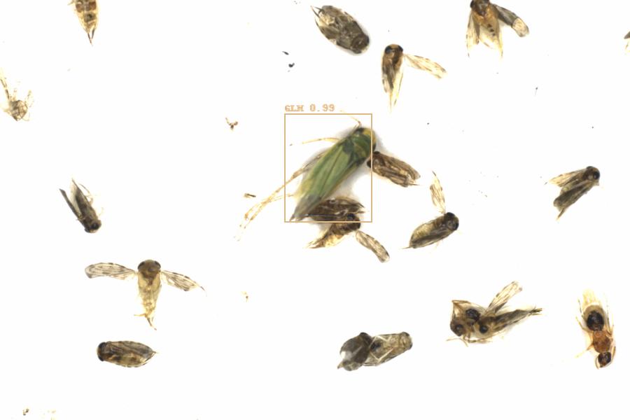 Fullscreen Image