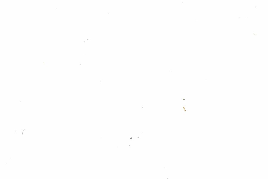 Fullscreen Image