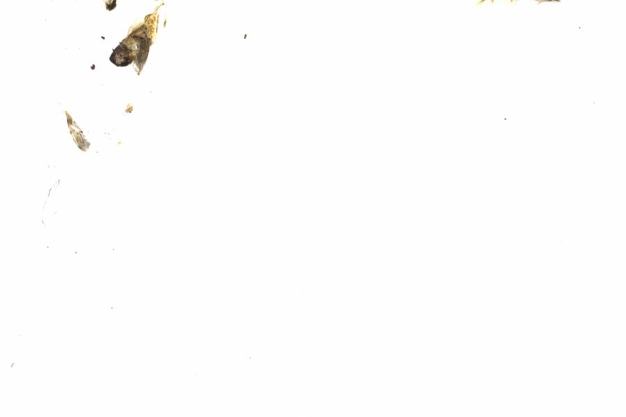 Fullscreen Image