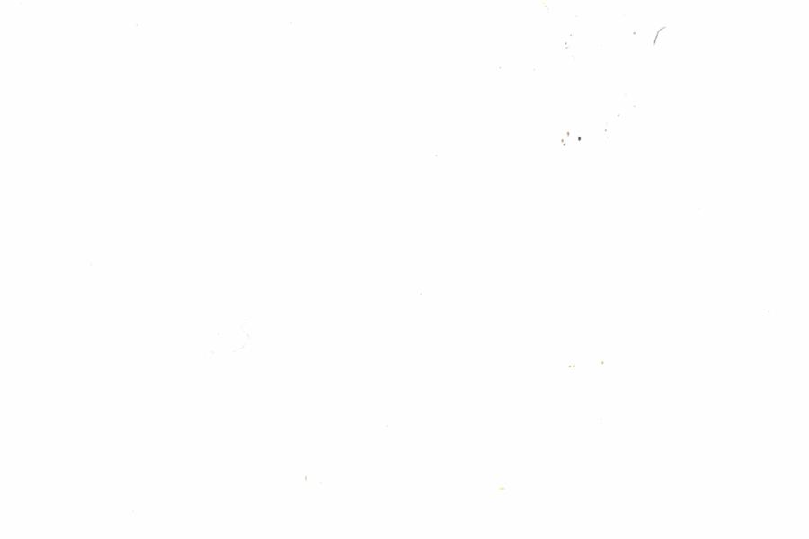 Fullscreen Image