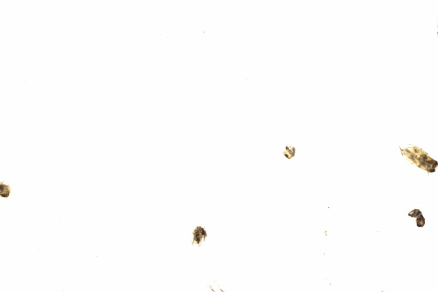 Fullscreen Image