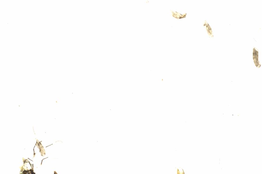 Fullscreen Image