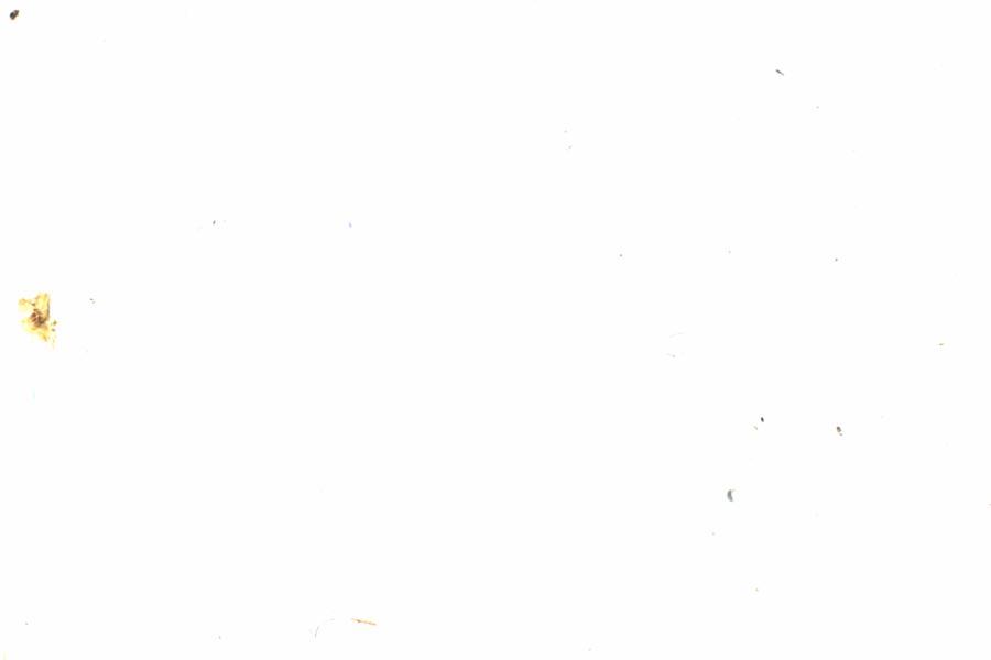 Fullscreen Image