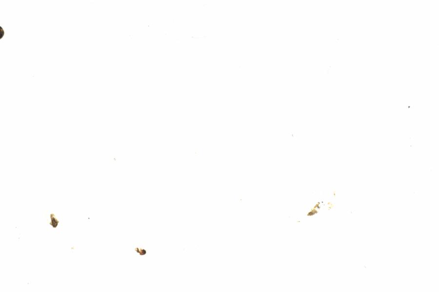 Fullscreen Image