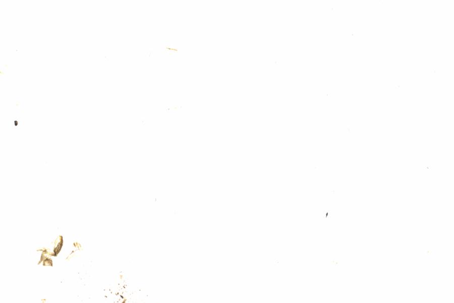 Fullscreen Image