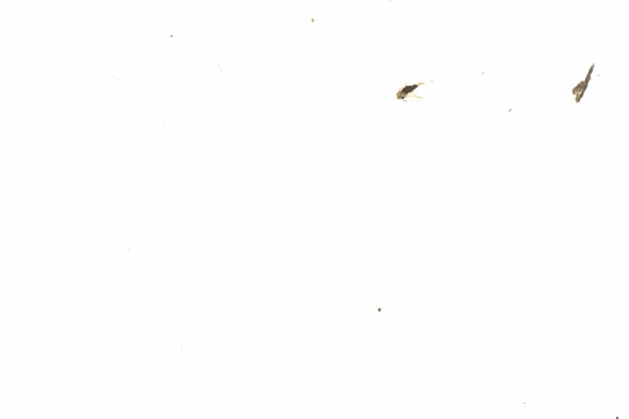 Fullscreen Image