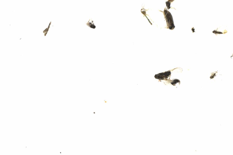 Fullscreen Image